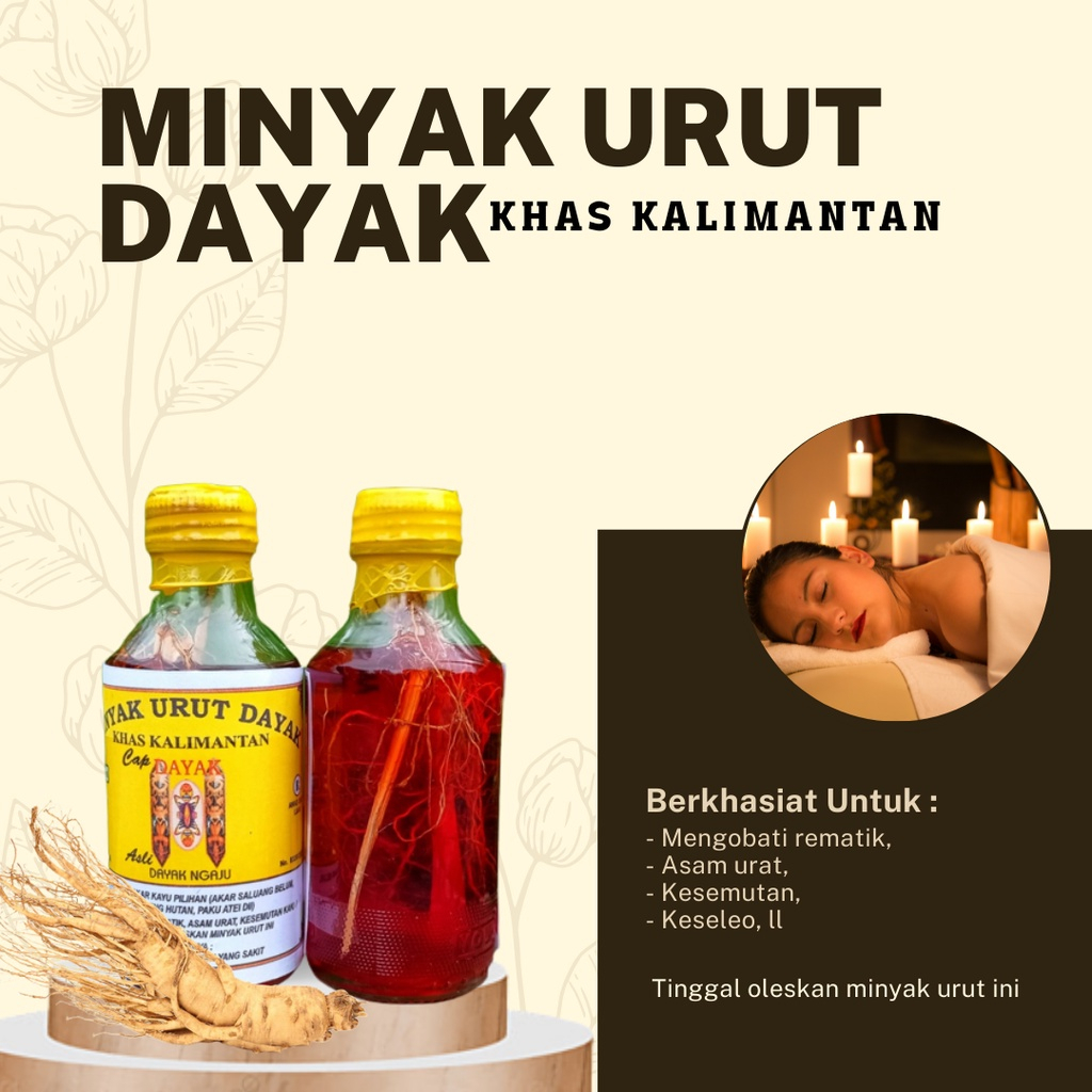 Jual Minya Urut Dayak Herbal PERISAI BORNEO 100 Original Khas