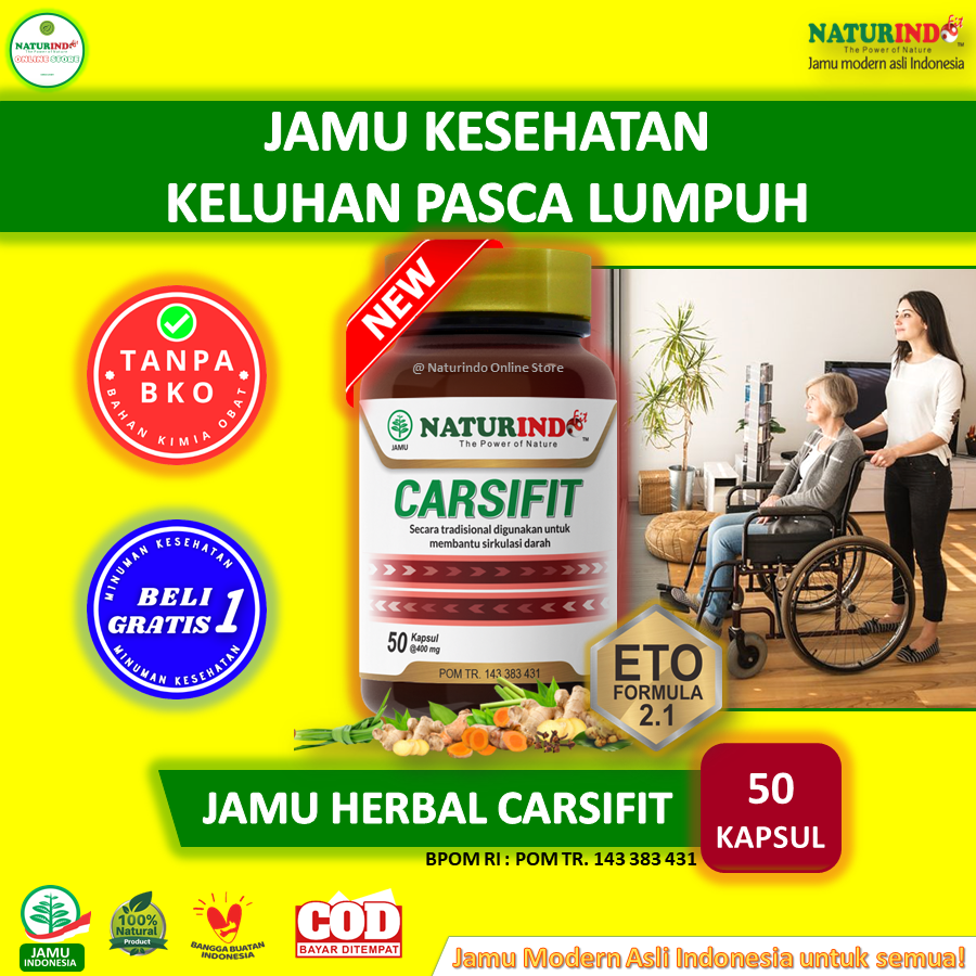 Jual Obat Stroke Ringan Lumpuh Menahun Berat Strok Paling Ampuh Herbal