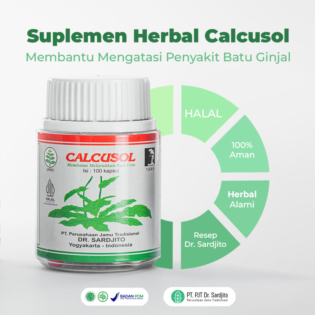 Jual CALCUSOL Obat Herbal Batu Ginjal Batu Urin Asam Urat