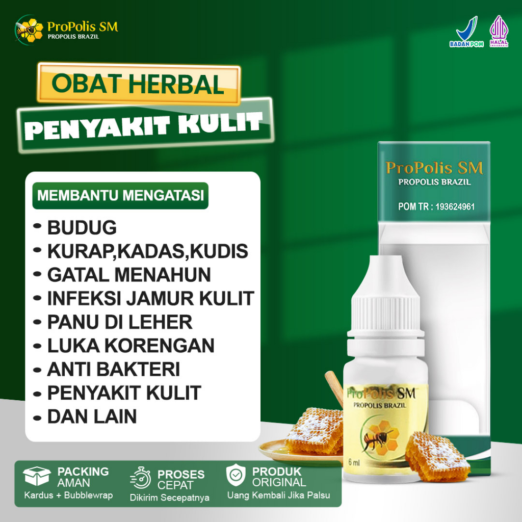 Jual Obat Oles Budug Borok Tetes Gatal Bernanah Herpes Obat Budug