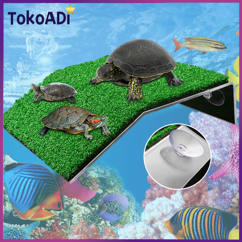 Jual Turtle Basking Island Tempat Jemur Kura Platform Kura Kura Tempat