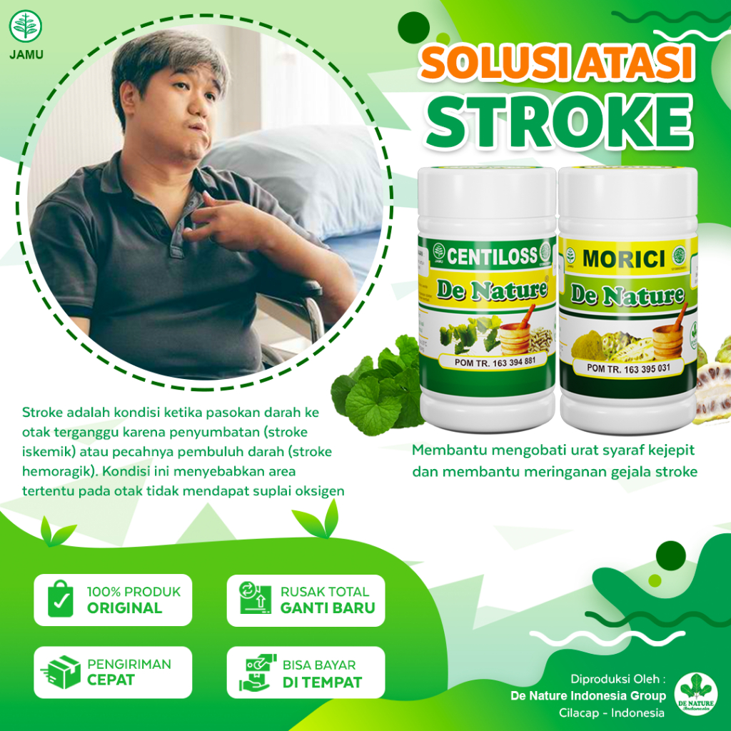 Jual Obat Stroke Struk Strok Berat Atasi Penyakit Stroke Ringan Sroke