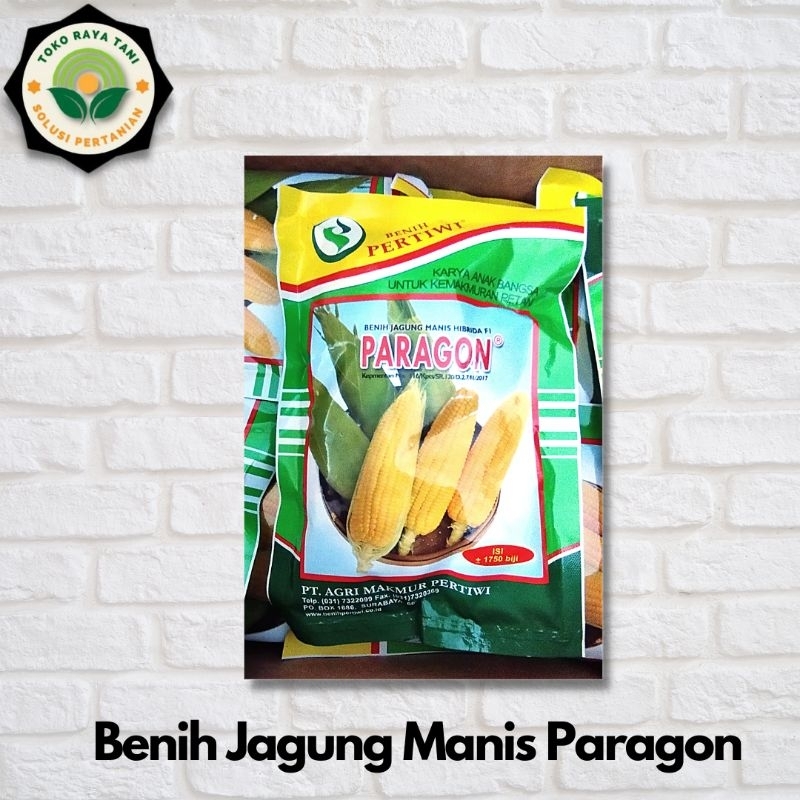 Jual Jual Benih Jagung Manis Paragon Isi 1750 Butir Shopee Indonesia