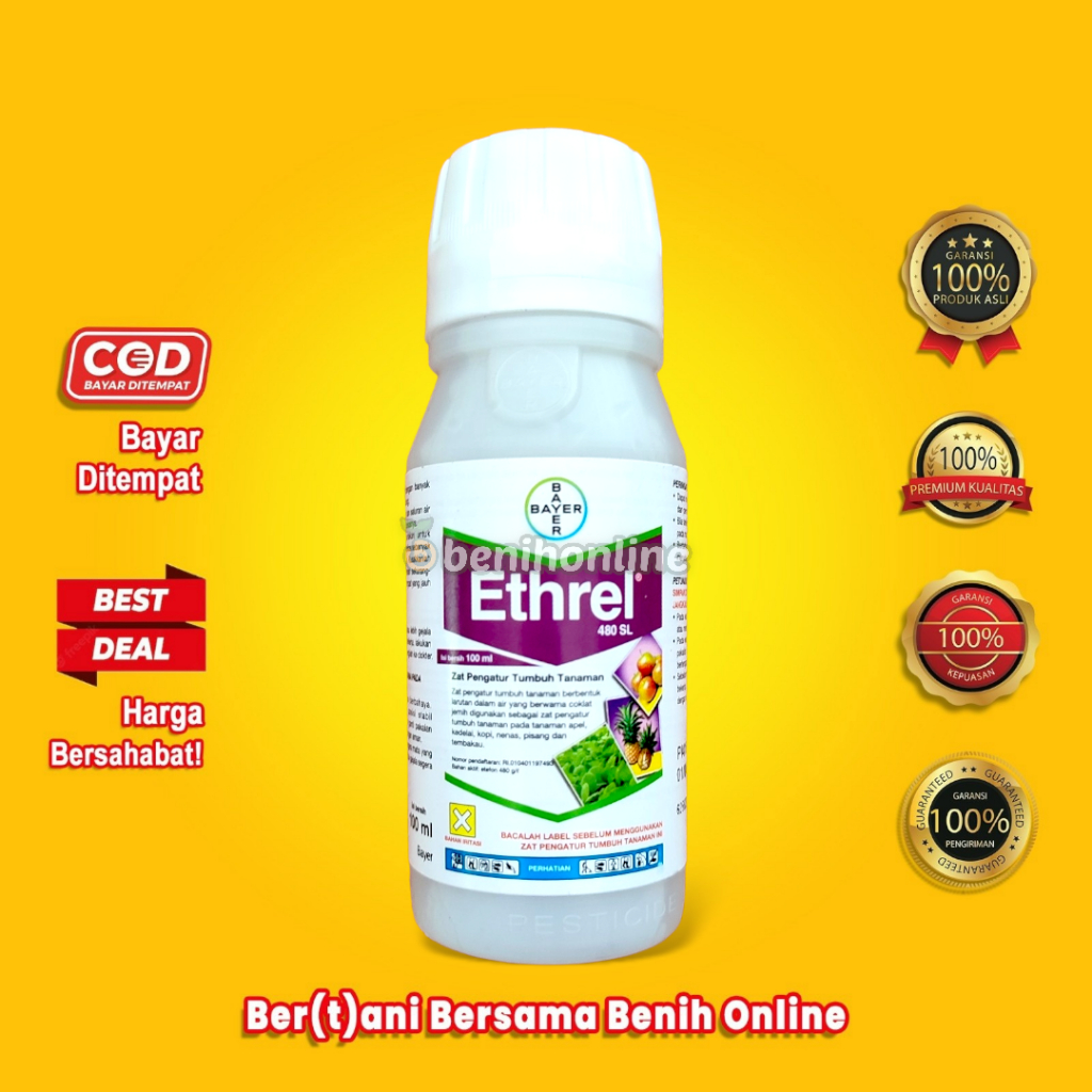 Jual ZAT PENGATUR TUMBUH ETHREL 100 Ml BAYER Pematang Buah