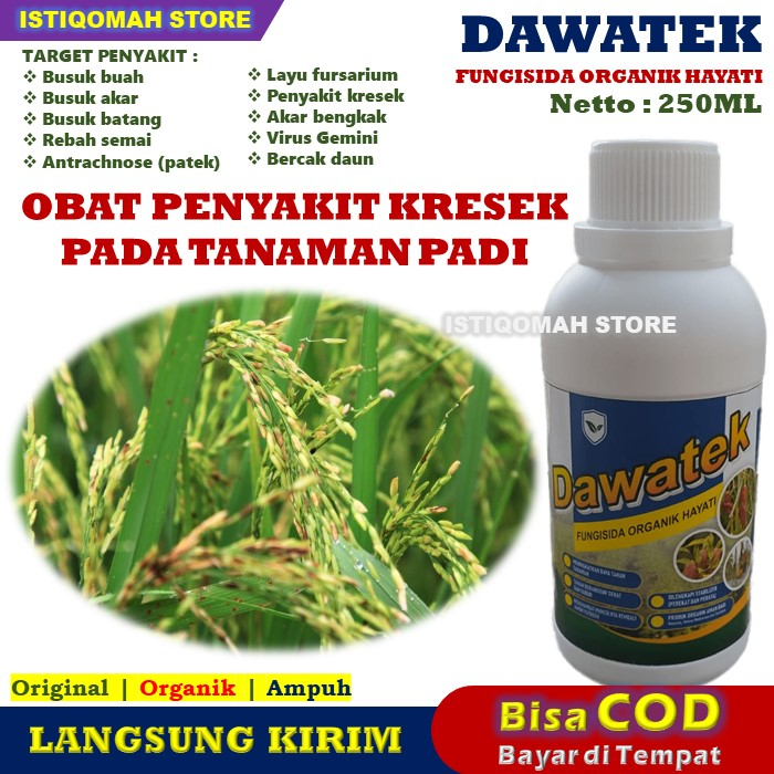 Jual Obat Semprot Penyakit Kresek Pada Tanaman Padi Ampuh DAWATEK 250ML