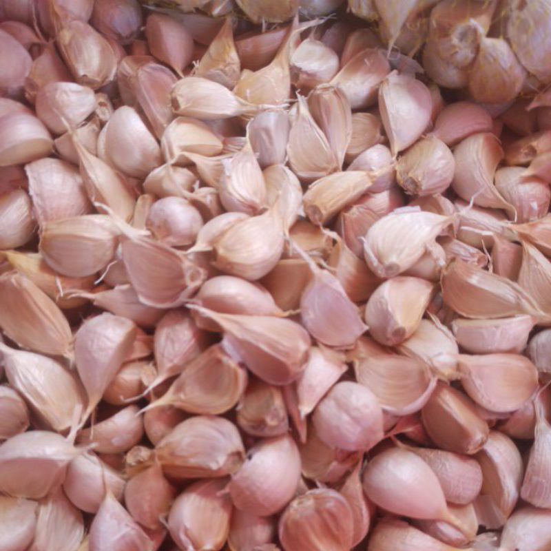 Jual Bawang Putih Kating Super Gr Kg Shopee Indonesia