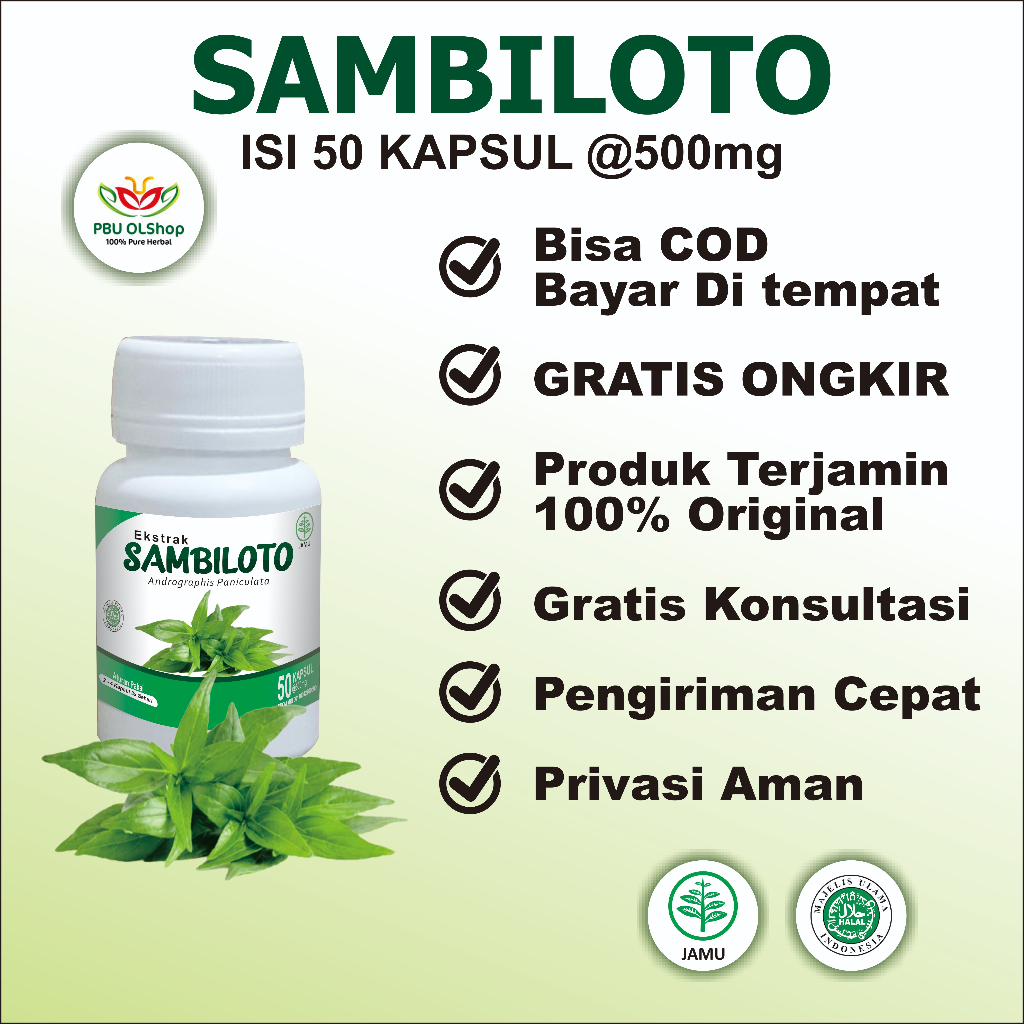 Jual Kapsul Ekstrak Sambiloto Original Isi Jamu Herbal Anti