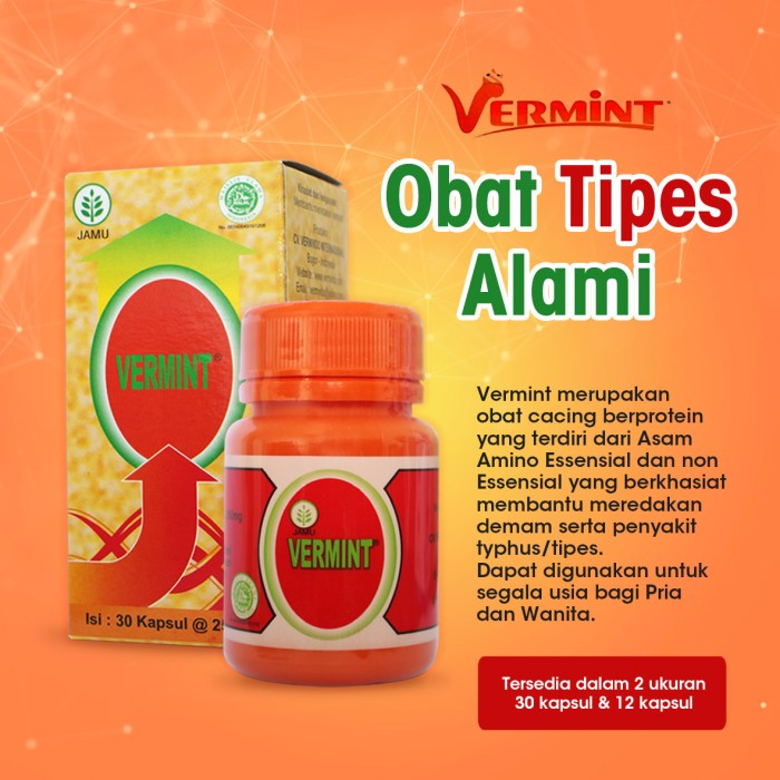 Jual Vermint Kecil 250 Mg Kapsul Cacing Kering 12 Kapsul Obat Tipus