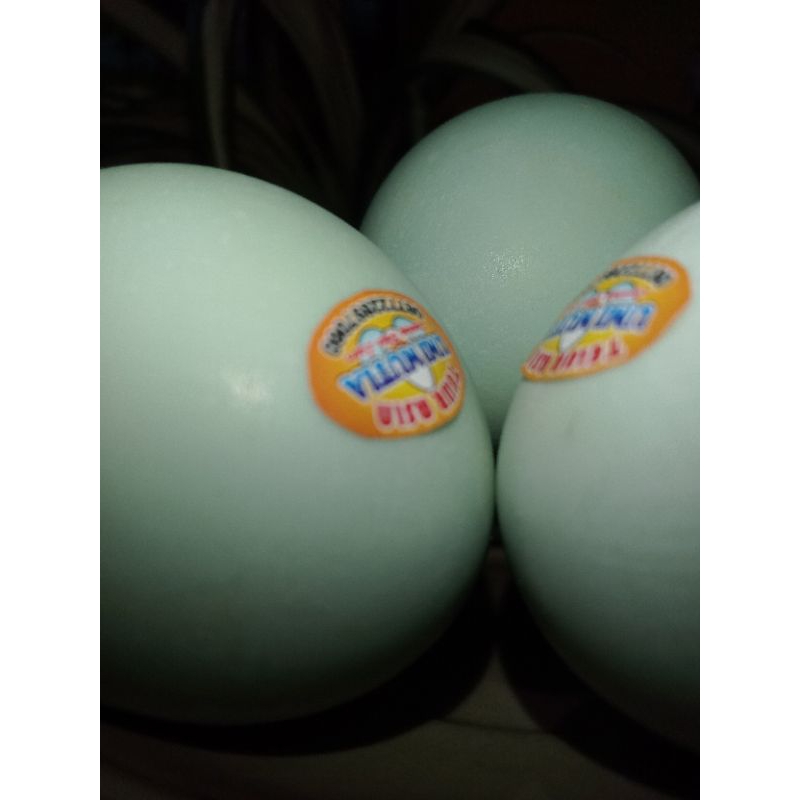 Jual Telor Asin Paket Isi Grade B Ukuran Sedang Telor Asin Matang