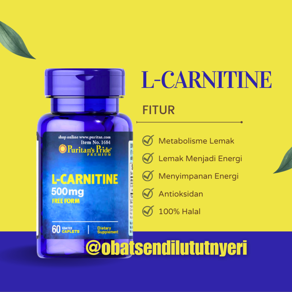 Jual Cod L Carnitine Mg Caplets Puritan S Pride Carnitine