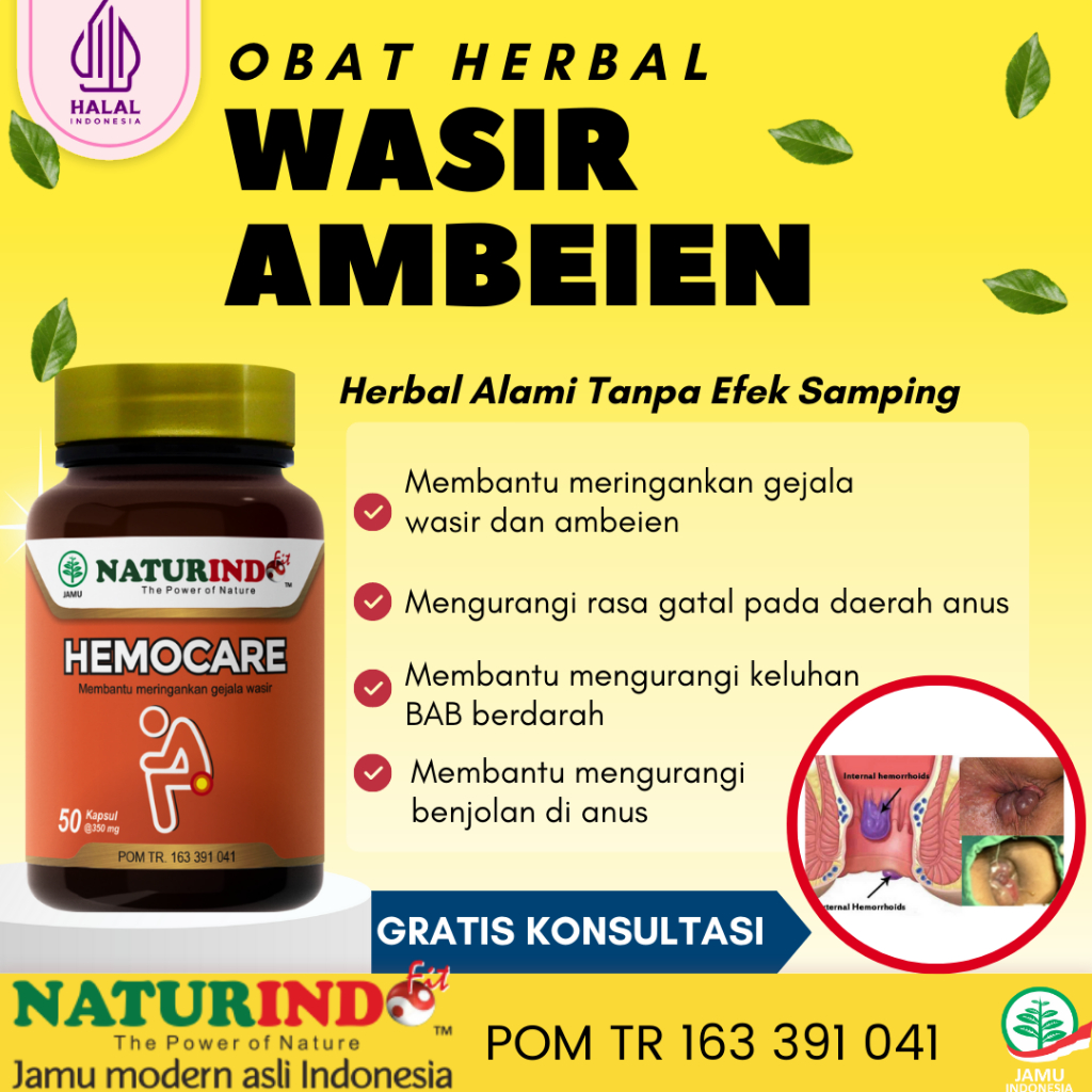 Jual Obat Wasir Ambeien Tanpa Operasi Wasir Ambeyen BAB Berdarah