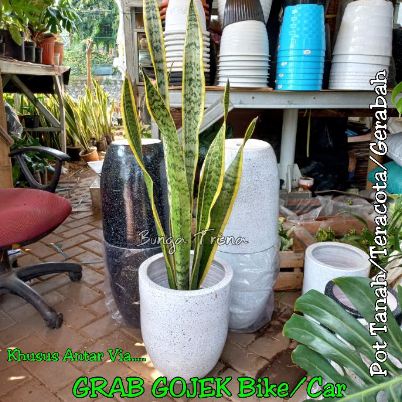 Jual Pot Gerabah Pot Teracota Pot Tanah Liat Pot Model Kapsul Terakota