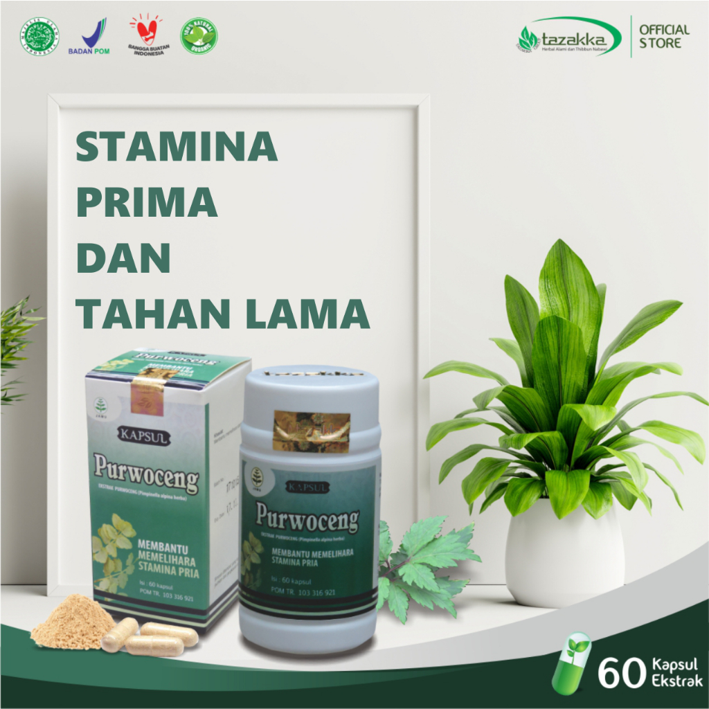 Jual Kapsul Ekstrak Purwoceng Herbal Tazakka Original Isi Kapsul