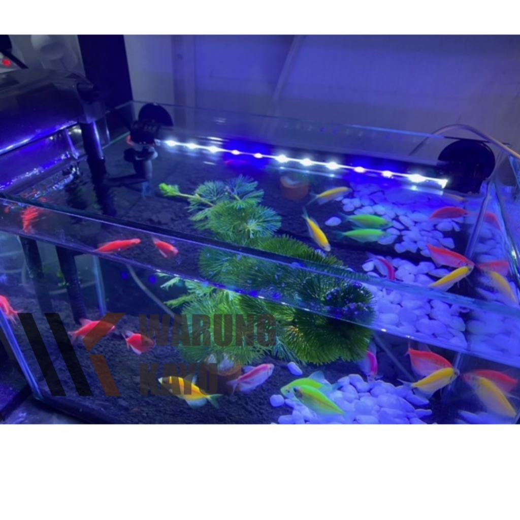 Jual Rosston Lampu Akuarium Celup T Cm Led Aquascape Aquarium Koi T