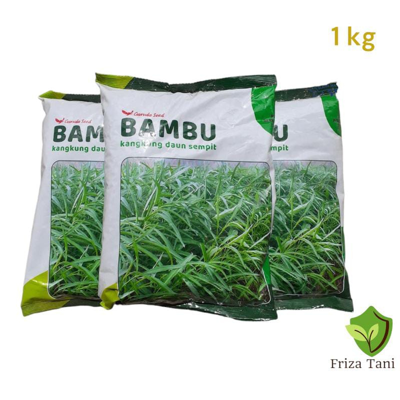 Jual Benih Kangkung Daun Sempit Bambu Ukuran 1 Kg Bibit Kangkung Daun