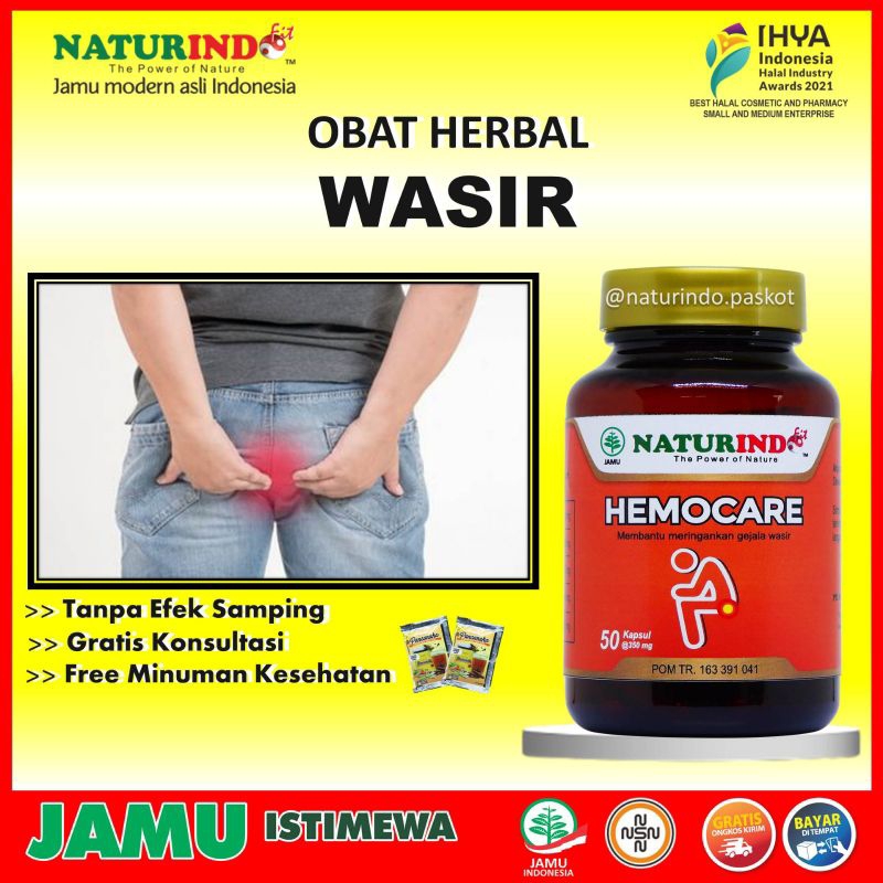 Jual Obat Wasir Ambeyen Stadium 4 Ambeian Berdarah Herbal Daun Ungu 100