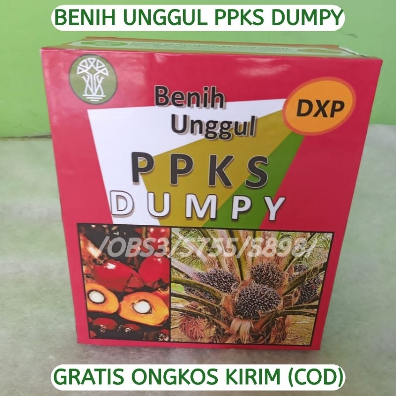 Jual Dxp Ppks Dumpy Unggul Bibit Sawit Kualitas Unggulan Nomor