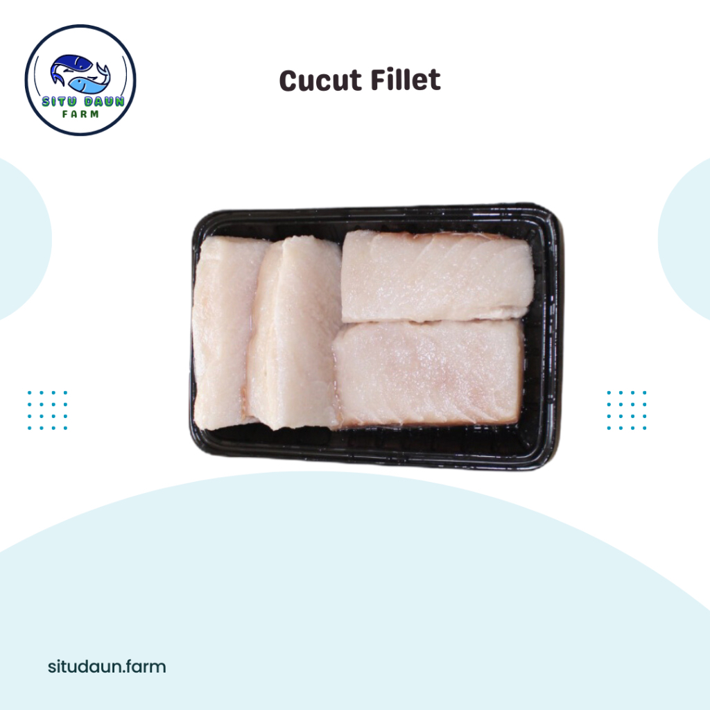 Jual Ikan Cucut Fillet 1 Kg Murah Shopee Indonesia