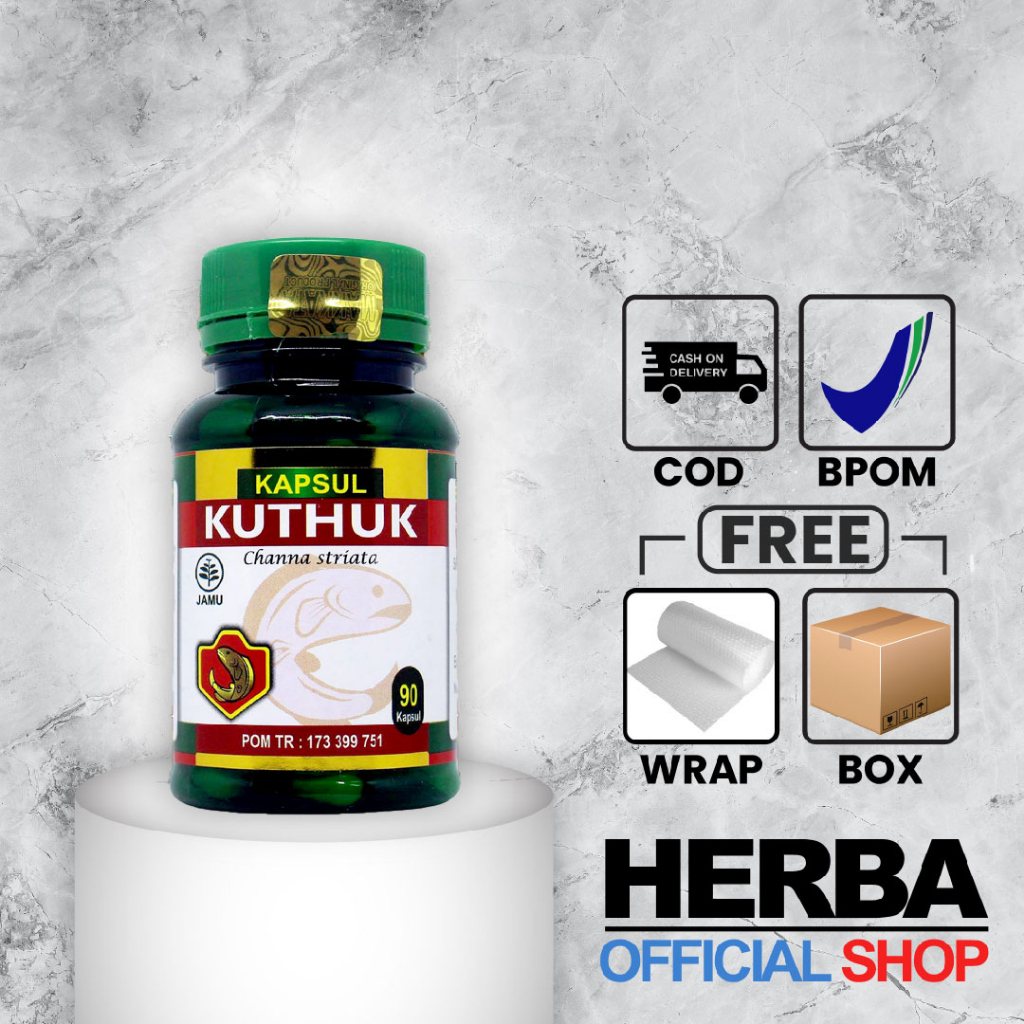 Jual Kapsul Kutuk Premium Quality Kuthuk Albumin Ikan Gabus Obat