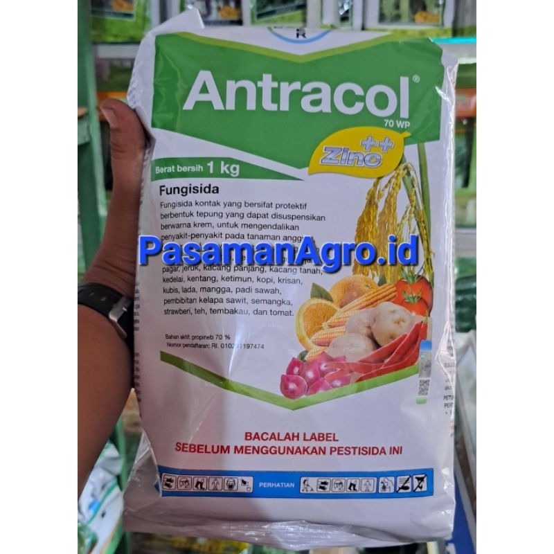 Jual FUNGISIDA ANTRACOL 70 WP ZINC 1 KG Shopee Indonesia