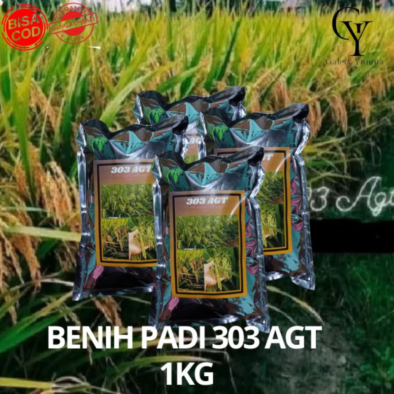 Jual Benih Padi Agt Unggul Kemasan Kg Shopee Indonesia