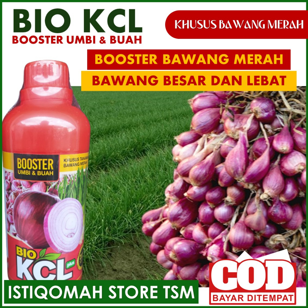 Jual BIO KCL PLUS Booster Umbi Dan Buah Tanaman Bawang Merah Paling