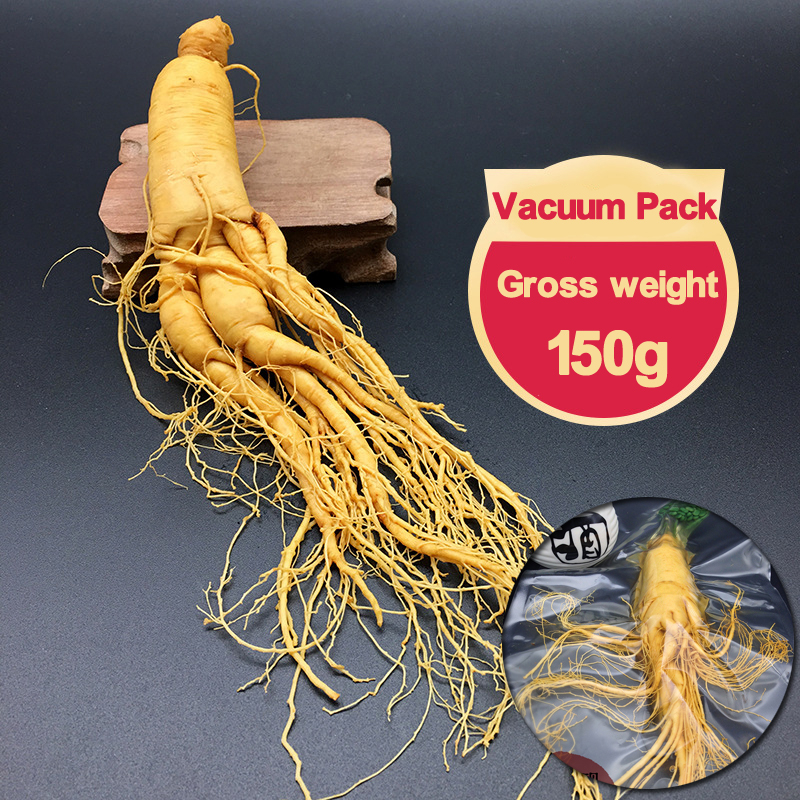 Jual Herbal Akar Ginseng 150 Gram Kemasan Vacuum Shopee Indonesia