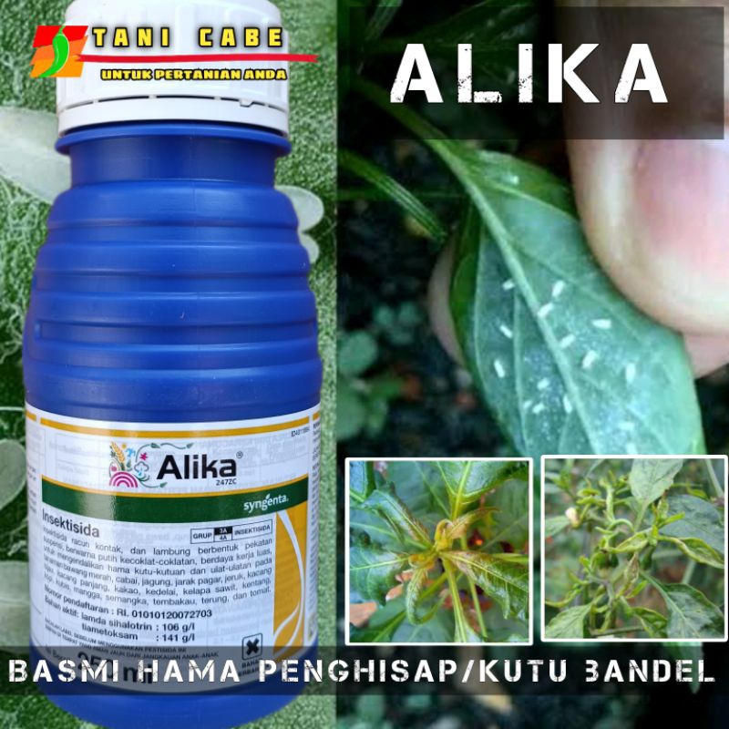 Jual ALIKA 275 ZC Insektisida Hama Kutu Dan Thrips 50 ML Shopee