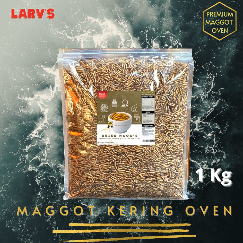 Jual Maggot Kering Oven BSF Organic Tinggi Protein Kemasan Ekonomis 1kg