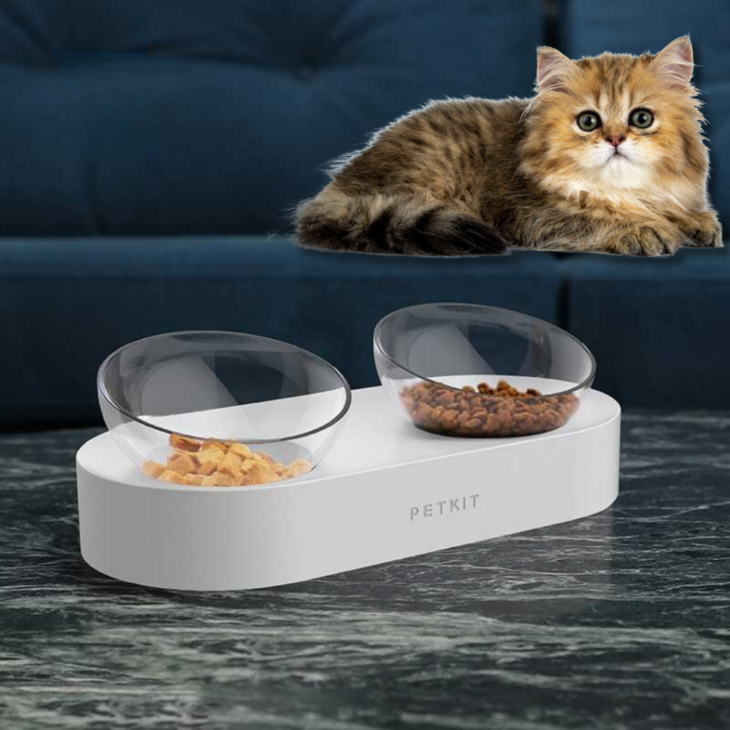 Jual Tempat Makan Kucing Hewan Peliharaan Double Bowl Feeding Shopee