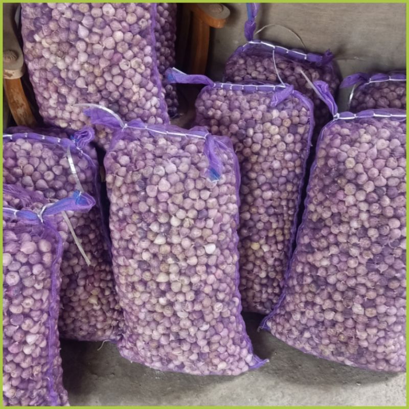 Jual Bawang Putih Tunggal 1 Kg Bawang Lanang Tunggal Bawang