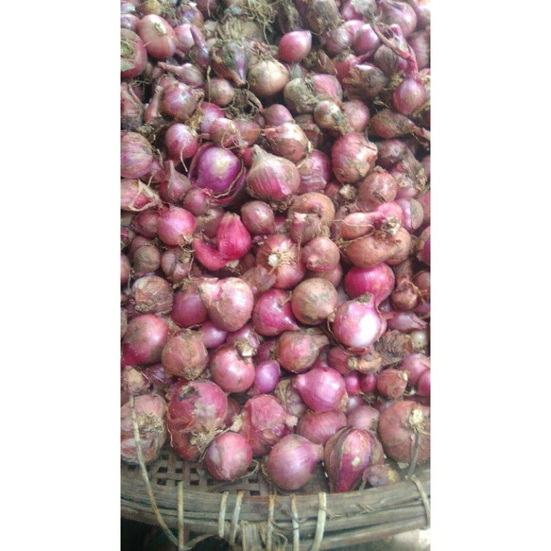 Jual Bawang Merah Lokal 1kg Ukuran Sedang Campur Shopee Indonesia