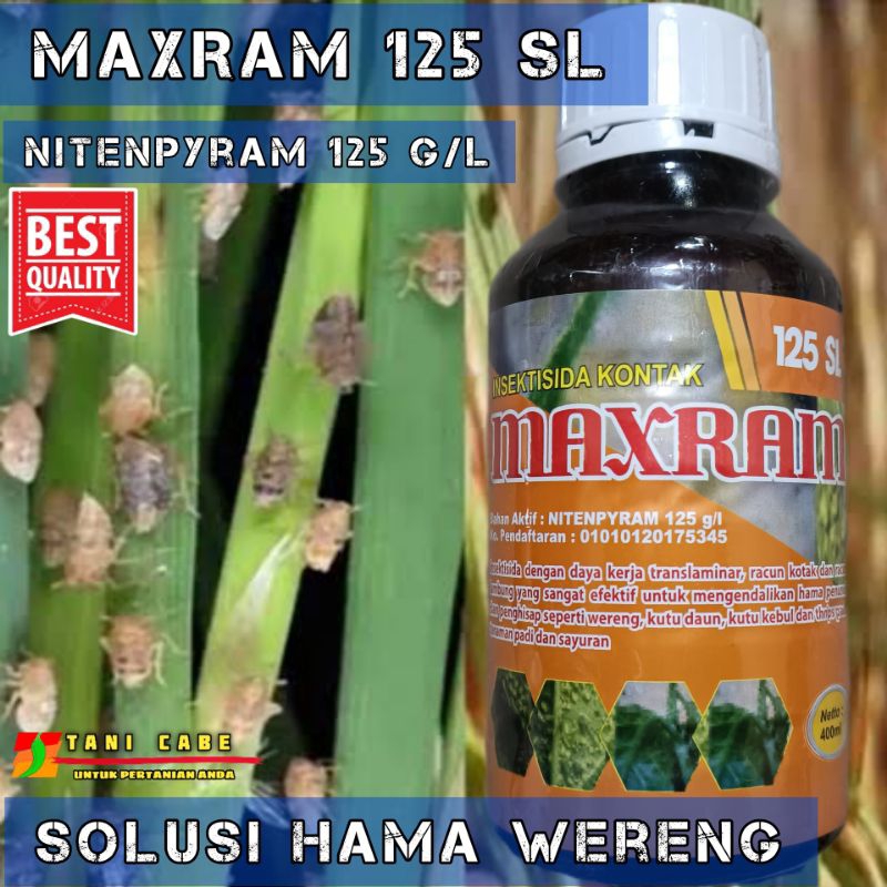 Jual Insektisida MAXRAM 125 SL Hama Wereng Dan Kutu Kebul 100 Ml