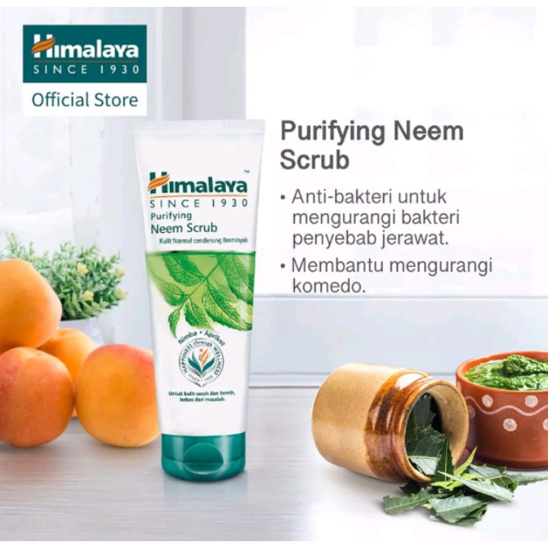 Jual Himalaya Purifying Neem Mask 100ML Original Shopee Indonesia