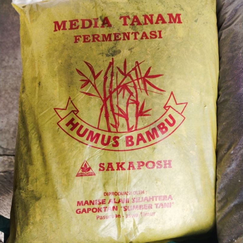 Jual Daun Bambu Humus Bambu Fermentasi Shopee Indonesia