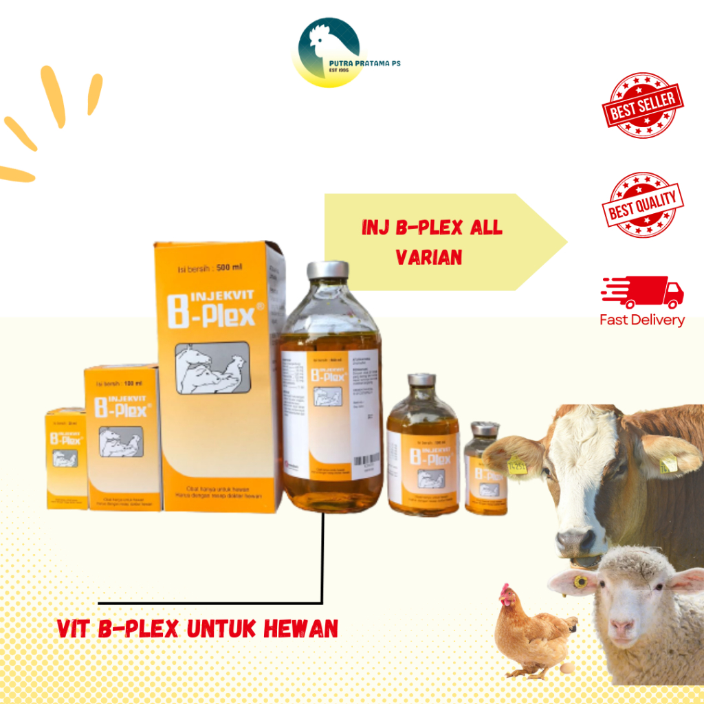 Jual Ml Ml Vitamin B Plex Inj Medion Meningkatkan Daya