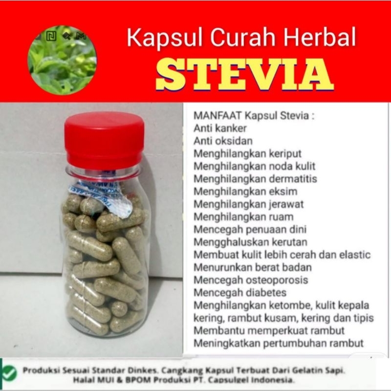 Jual Stevia Kapsul Curah Herbal Anti Kanker Kemasan Botol Shopee