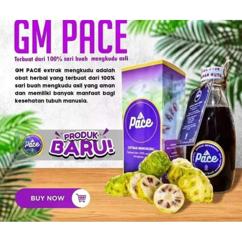 Jual Pace Gm Extrak Mengkudu Original Ml Shopee Indonesia