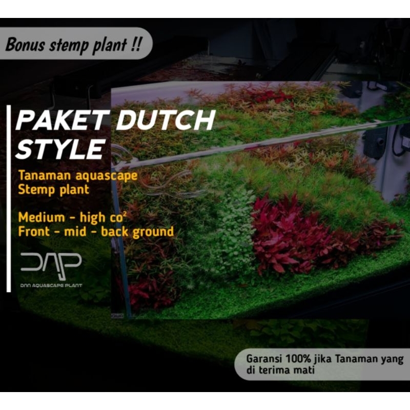 Jual Paket Dutch Style Tanaman Aquascape Stemp Plant Shopee Indonesia