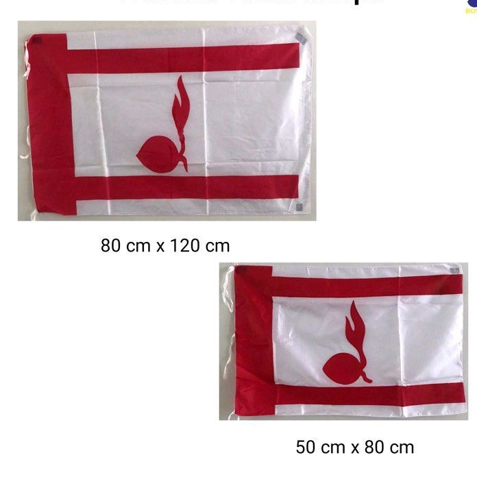 Jual Bendera Tunas Kelapa Pramuka Bijian Peles Shopee Indonesia