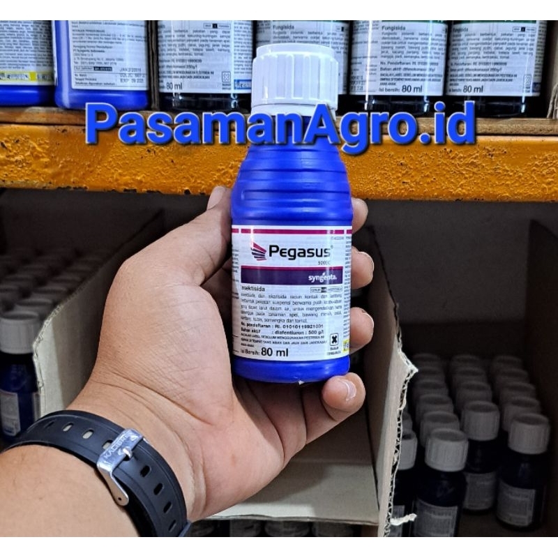 Jual INSEKTISIDA PEGASUS 500 SC 80 ML Shopee Indonesia