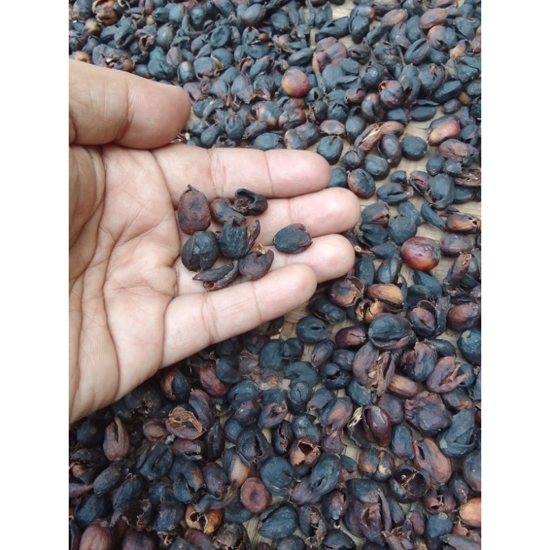 Jual Teh Cascara Kulit Biji Kopi Kering Shopee Indonesia