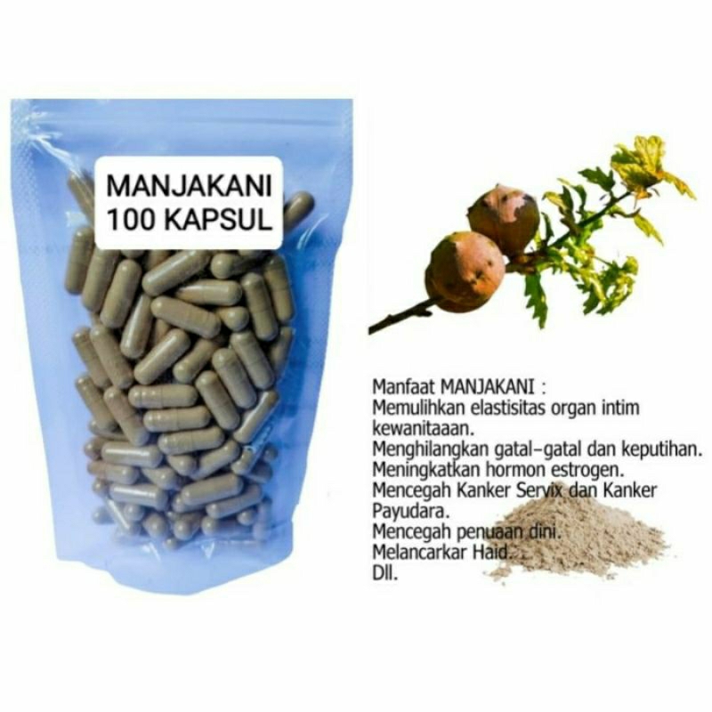 Jual Manjakani Kapsul Herbal Alami Kemasan Hemat Isi Pcs Shopee