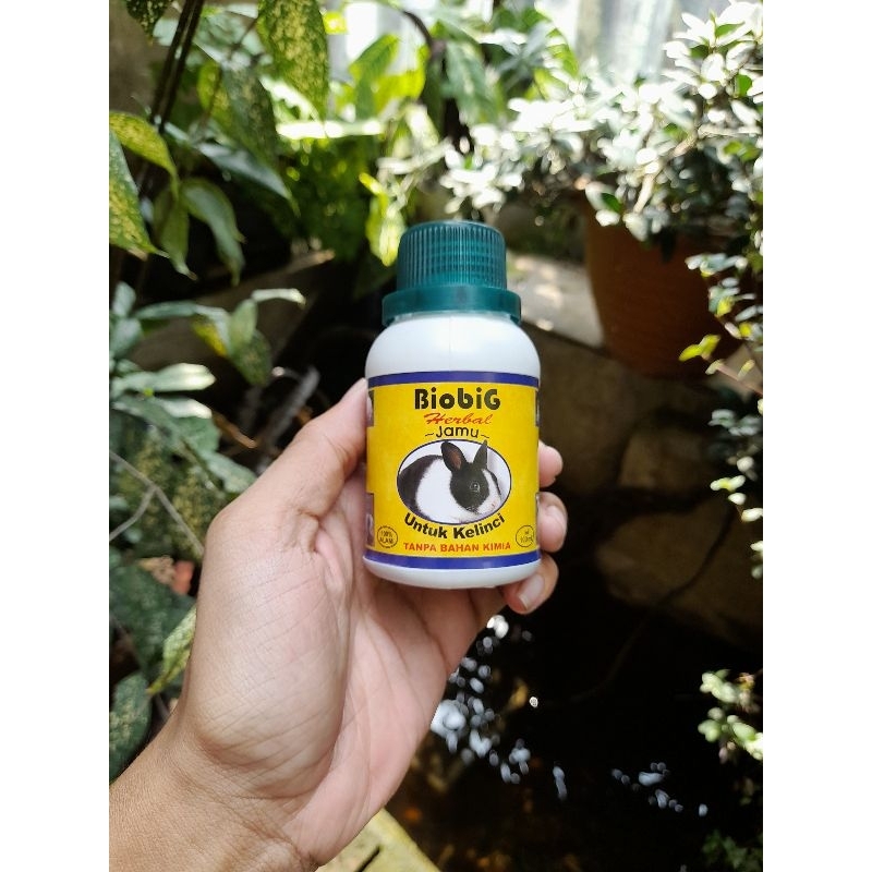 Jual BIO BIG JAMU KELINCI 100ML Shopee Indonesia