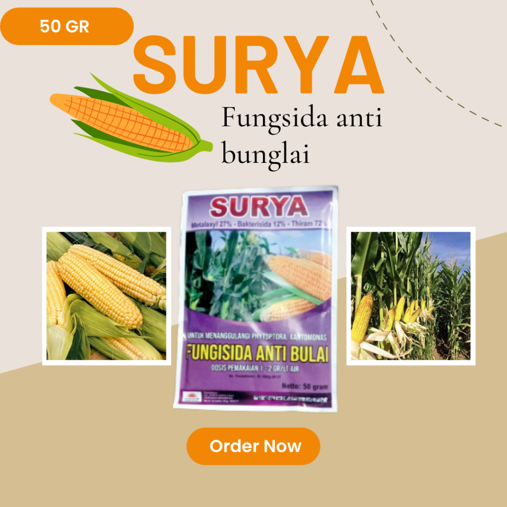 Jual Fungisida Tanaman Jagung Anrin Anti Bulai Jamur Obat Surya Anti