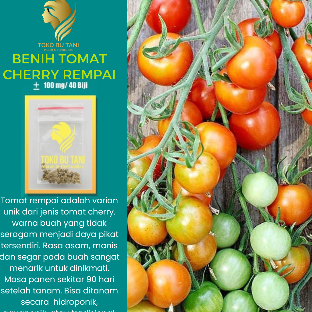 Jual Bibit Benih Sayur Sayuran Timun Cabai Cabe Kacang Oyong Pare