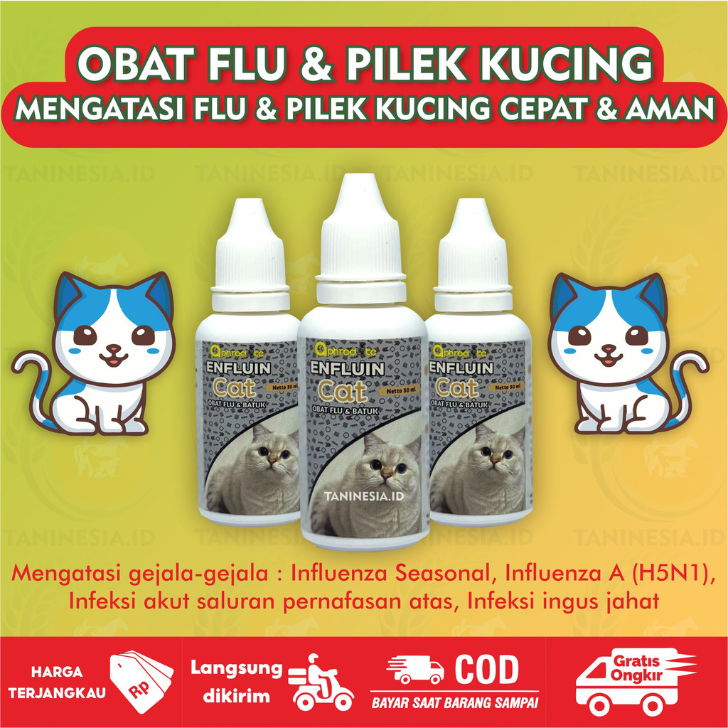 Jual OBAT FLU BATUK KUCING AMPUH DEMAM PILEK PARAH FLUCAT DOXY CAT