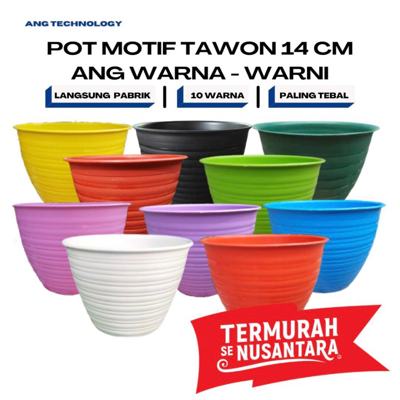 Jual Pot Bunga Tawon Putih Cm Warna Warni Ang Tanaman Termurah Se