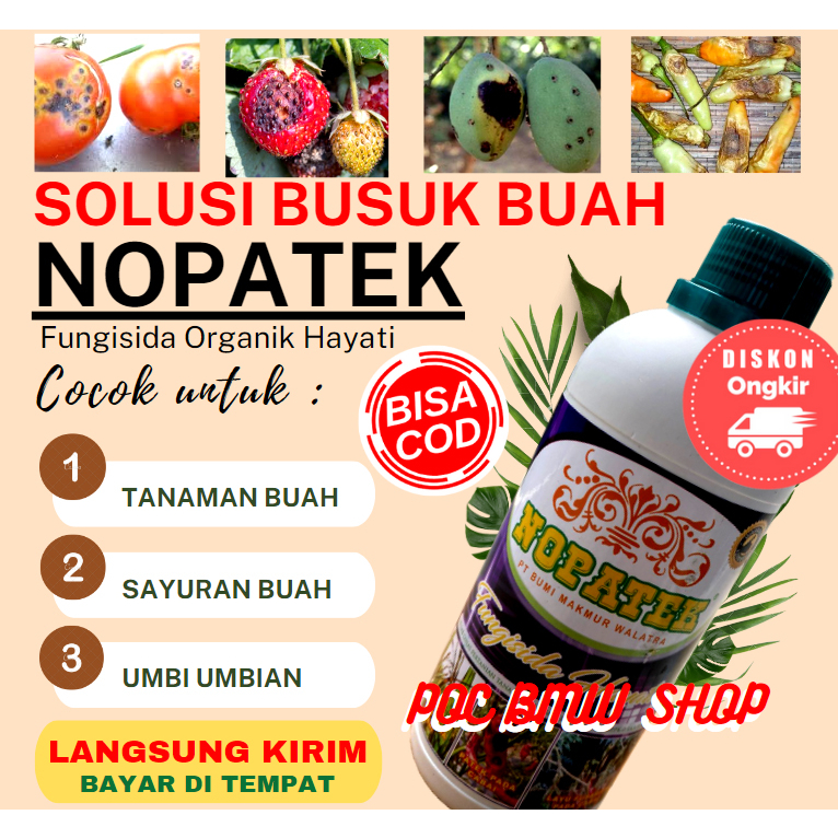 Jual NOPATEK Pupuk Fungisida Hayati Obat Hama Penyakit Busuk Buah Pada