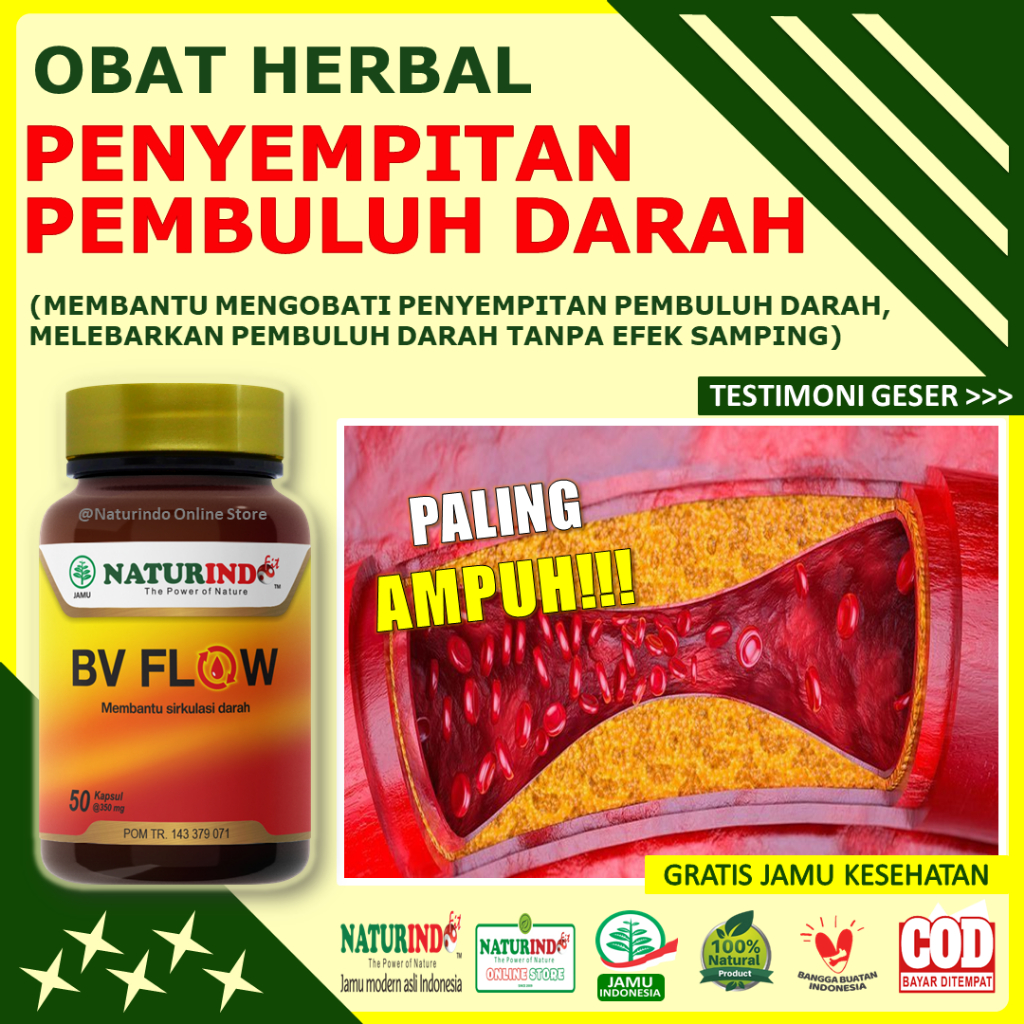 Jual Obat Pembersih Penghancur Penyempitan Plak Pembuluh Darah